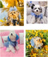 Airy Blue Lace Daily Princess Dog Dress